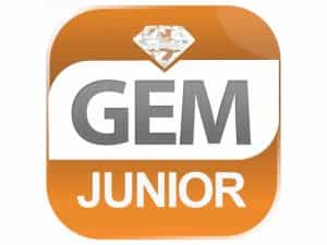 The logo of GEM Junior