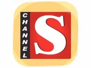 The logo of Channel S