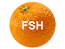 The logo of FSH